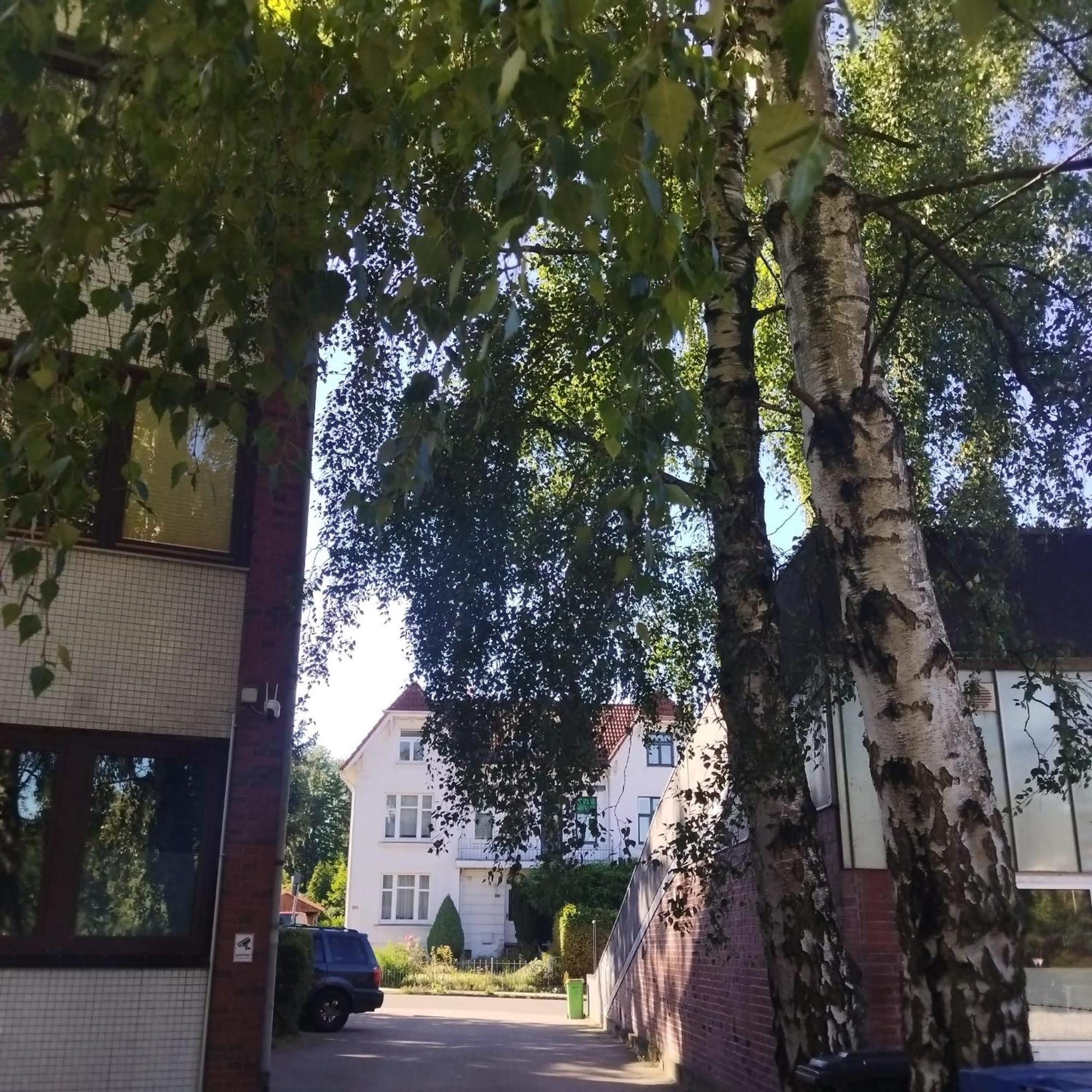 Monteurzimmer In Hamburg West Bei Hansezimmer Экстерьер фото